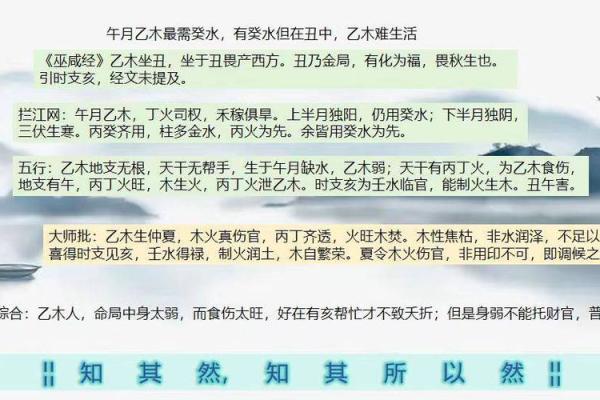 木命人士与手表颜色的完美搭配指南