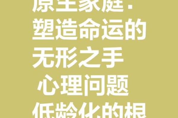 解析专门生儿子的命运与家庭幸福的关系