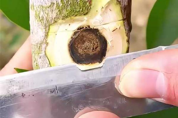 逆转命运的法则：从“命转乾坤”看人生的转机与机遇