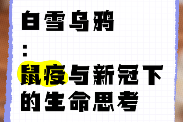 疫情现象与命理分析：探索背后的深层次意义与影响