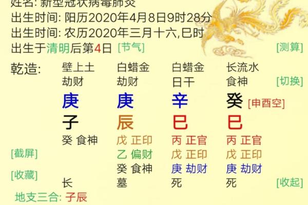 疫情现象与命理分析：探索背后的深层次意义与影响