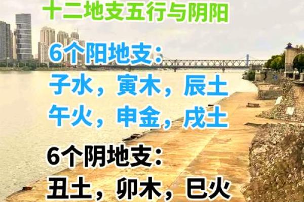 探索1969年酉鸡命运：揭秘五行与人生轨迹的奥秘