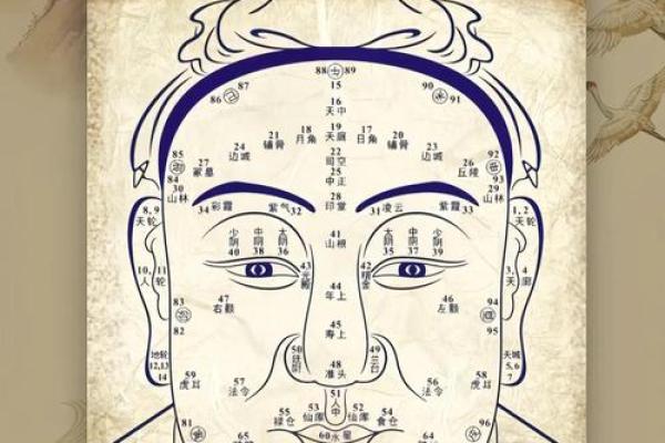 命不好的面相解析：如何识别与改变命运的面相特征