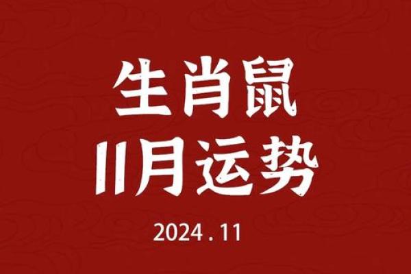 属鼠命适合哪些职业？揭开财富与事业的奥秘！