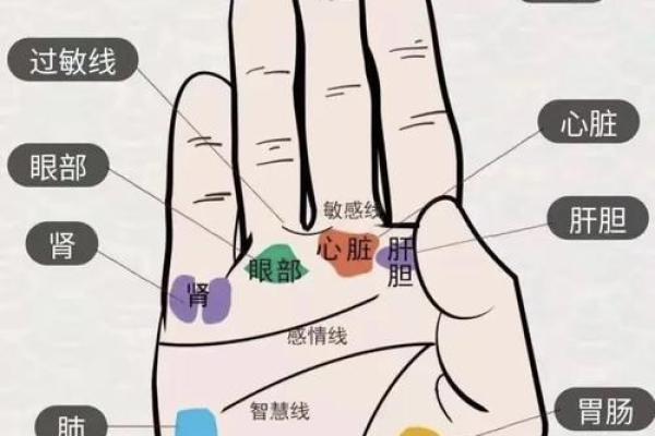 探索手掌纹理，揭秘你的命运之路！