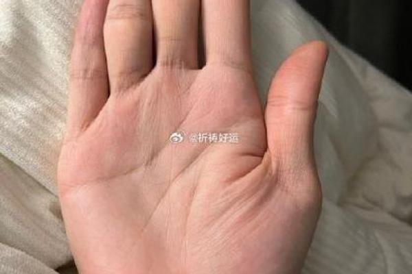 探索手掌纹理，揭秘你的命运之路！