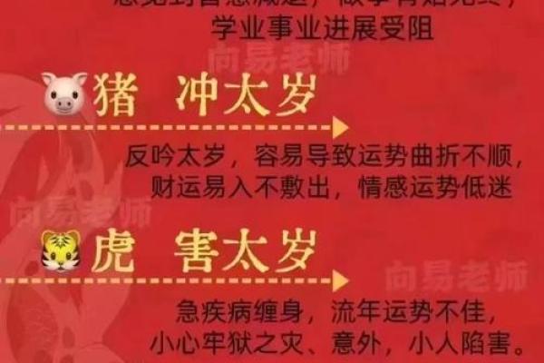 癸卯金箔金命的人生指南：如何避开忌讳，拥抱光明未来