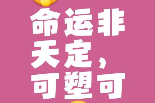 30岁以上的人生：探索命运中最优之选的真谛