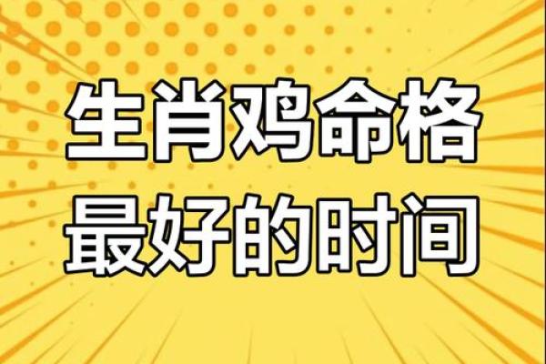 鸡年亥时出生的命理解析与生活智慧