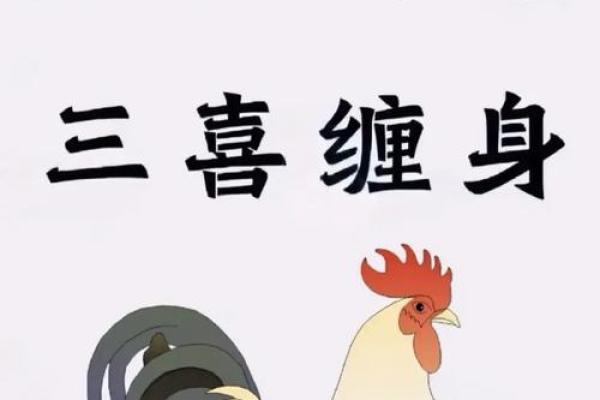 鸡年亥时出生的命理解析与生活智慧