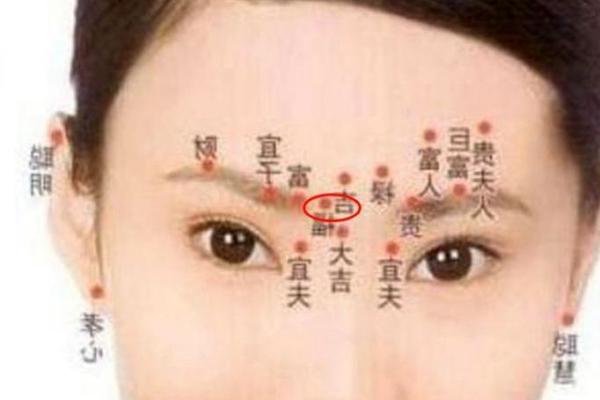 解析贵妇之命：如何通过面相看出你的命运与财富