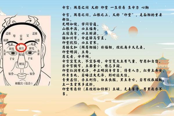 解析贵妇之命：如何通过面相看出你的命运与财富