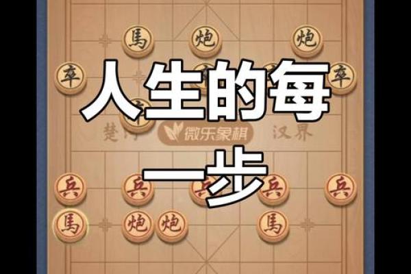根据什么入什么命，人生如棋尽显智慧与缘分