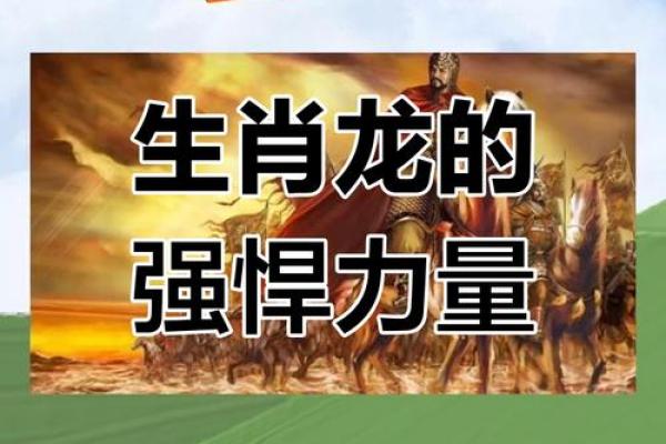 火旺命理之动物：用生肖看火元素的力量与象征