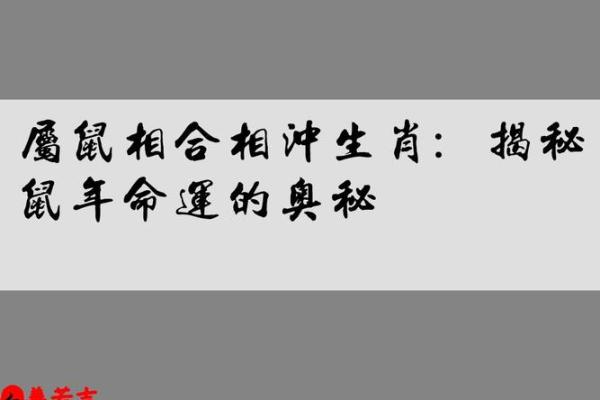 命心意味着什么？揭示与生肖的奥秘与关联
