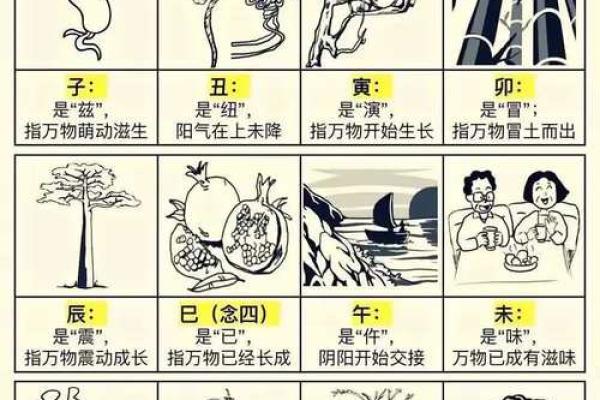 1994年属什么？五行与命运的奥秘解析