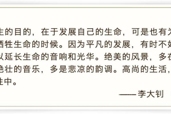 命至的深刻含义与生活中的应用探寻