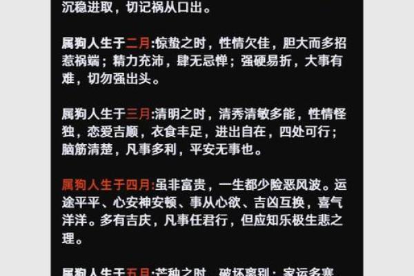 1994年属狗的命运解析：狗年人的性格与人生轨迹
