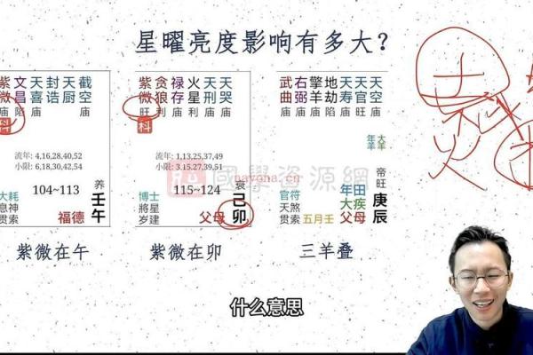 聪明人的命格：揭开紫薇命格的神秘面纱