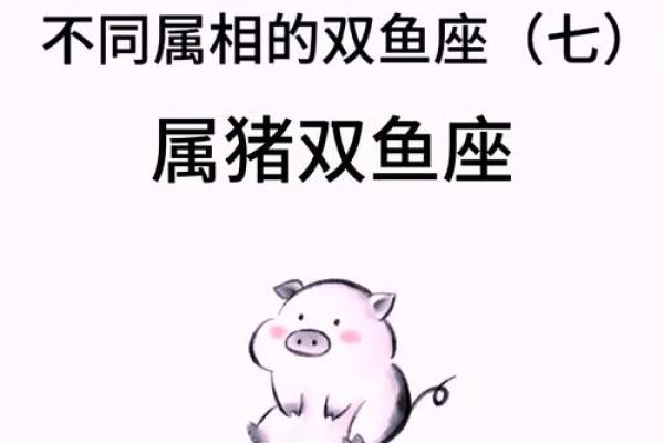 2007年属猪命分析：珀金猪的命运与性格探究