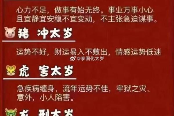 解码生死之命：生肖背后的秘密与寓意
