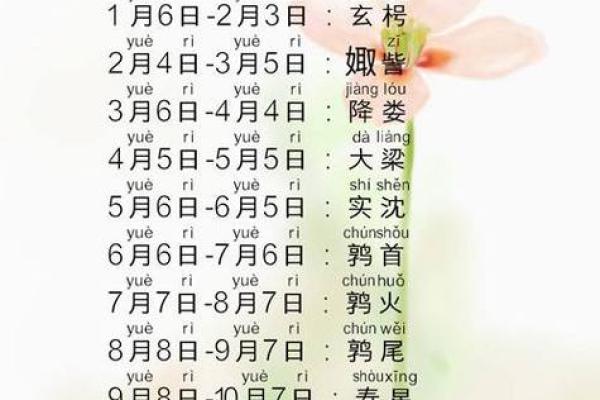 二月出生的人命格解析：究竟是水命还是其他命？
