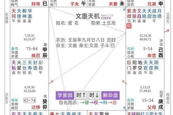 女命武官星的神秘解读与人生启示