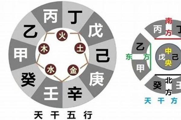 女命属虎八字命弱的深层解析与命运转化