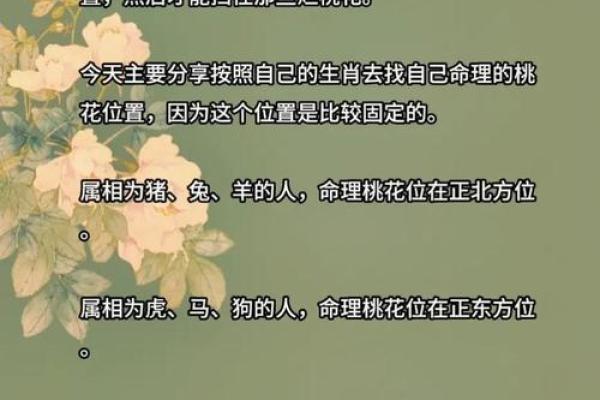 女命属虎八字命弱的深层解析与命运转化