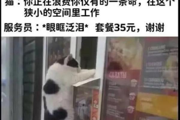 关于“一条命打两条命”的深刻思考与启示