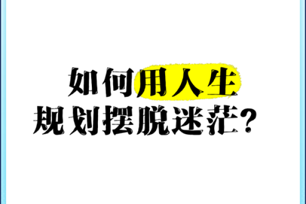 金鸡命理解析：如何选择最佳发展方向与人生规划？