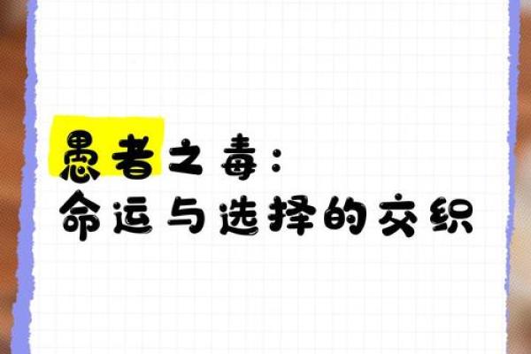 不信命不信你：探索命运与选择的相互交织
