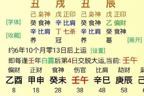癸卯地支命格解析：揭开命理之谜，探索命中注定的精彩人生！