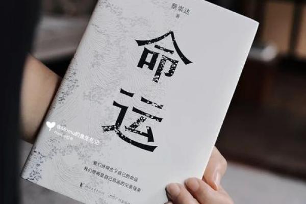 生傻孩子的命运：背后隐藏着怎样的智慧与启示？