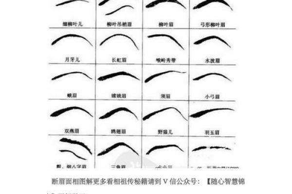 眉毛超短的人生运势解析：从风水角度看