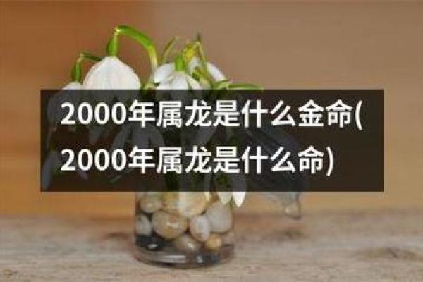 1997年腊月二十：岁末的命运与未来的启示