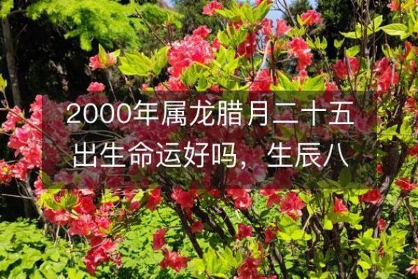 1997年腊月二十：岁末的命运与未来的启示