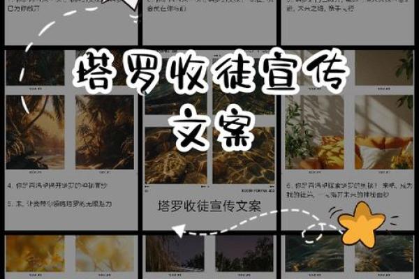 揭开雷泽四命与五命的神秘面纱，探索命运的奥秘！