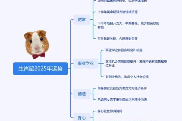 72年鼠命理解析：掌握优势和补救之道，助你走向辉煌人生！