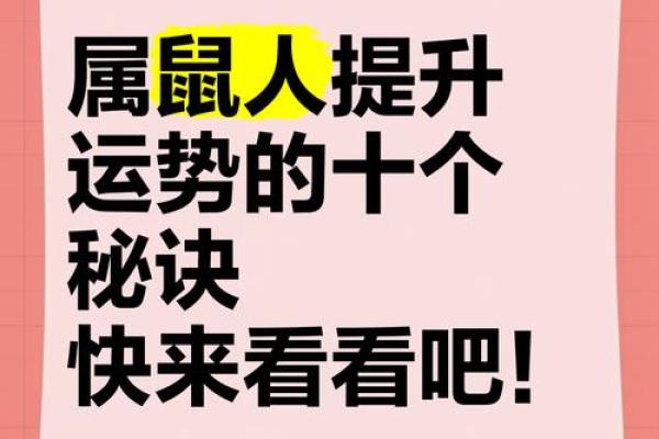 1984属鼠人的命运解析：智慧与魅力的双重天赋