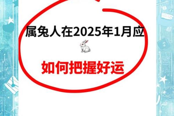 2023年属兔人的命运解析：机遇与挑战并存的一年