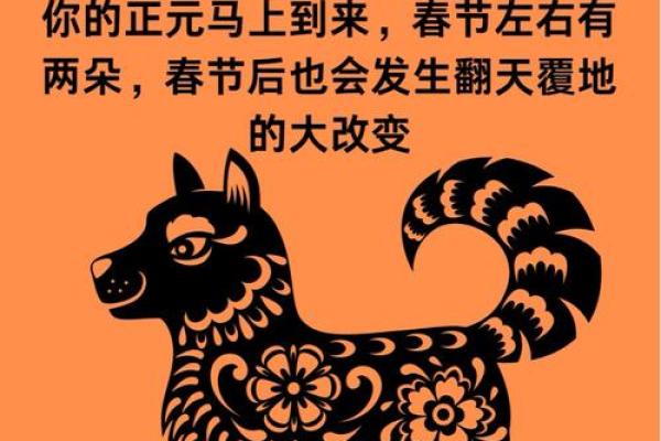揭开36狗命理的神秘面纱，从运势到性格详解！