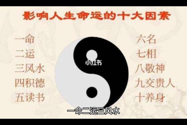 1968年腊月出生的命运解析与人生智慧探讨