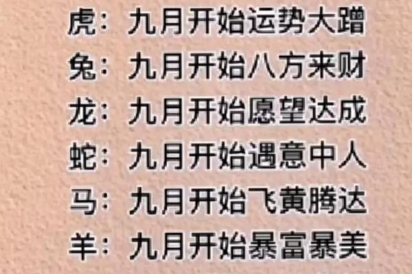 22岁属什么生肖与命运的深度解析