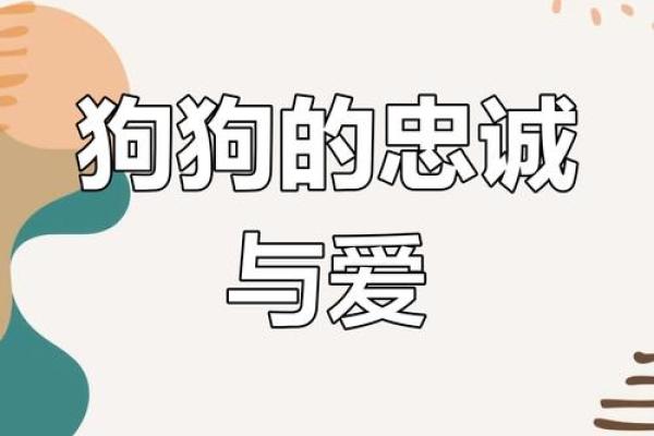 狗命不是命：揭示我们与宠物之间的深厚情感