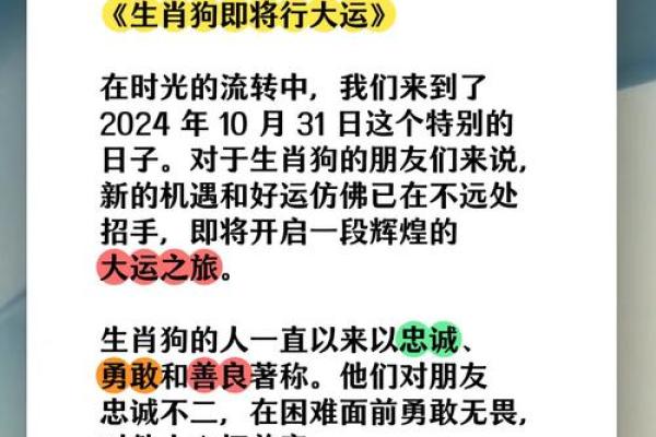 二零一八年：走近狗年命运与性格的深度解析