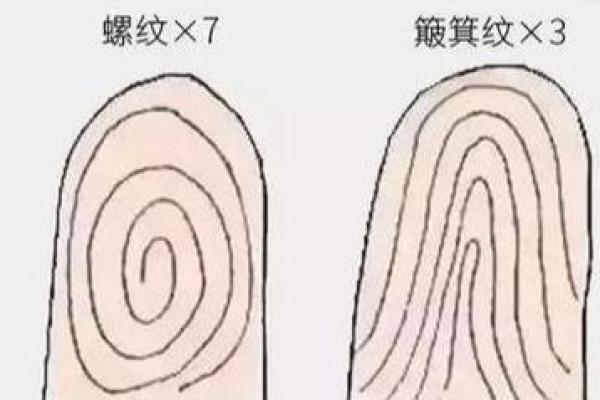 两根螺纹与命运的交织：探寻人生的深层意义