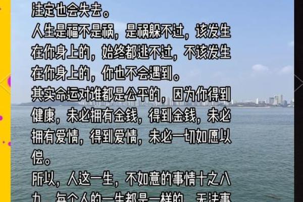 从命运到命关：探索与命相关的成语智慧
