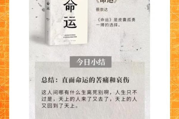 从命运到命关：探索与命相关的成语智慧