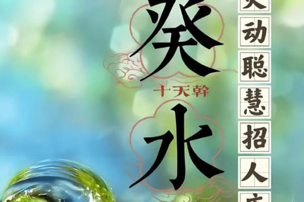 大水命的人生指南：大水命须知的生活与事业法则